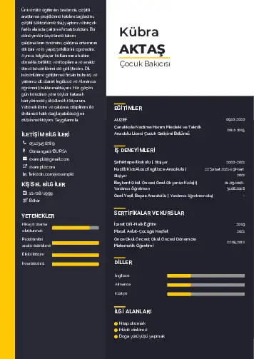 Çocuk Bakıcısı CV Örnekleri cv indir